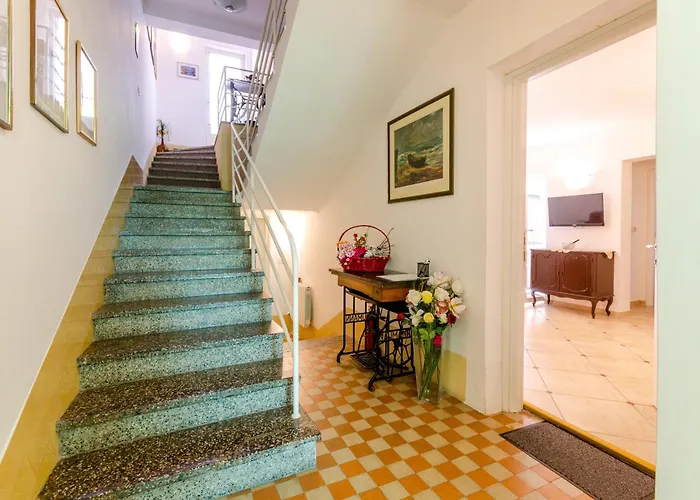 Amare * 크리크베니카